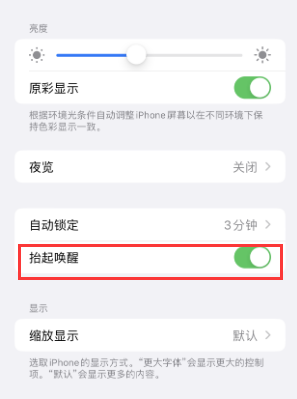 信阳苹果授权维修站分享iPhone轻点无法唤醒怎么办