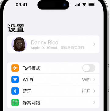 信阳appleID维修服务iPhone设置中Apple ID显示为灰色无法使用 