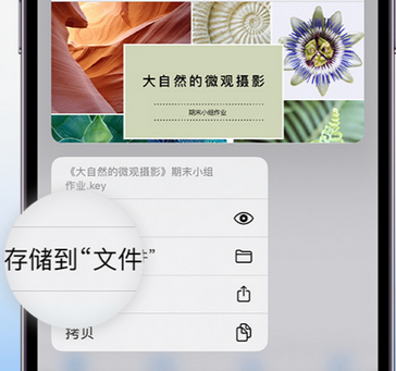 信阳apple维修中心分享iPhone文件应用中存储和找到下载文件