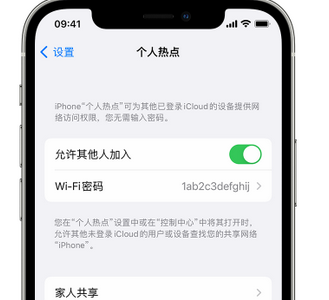 信阳apple服务站点分享iPhone上个人热点丢失了怎么办 