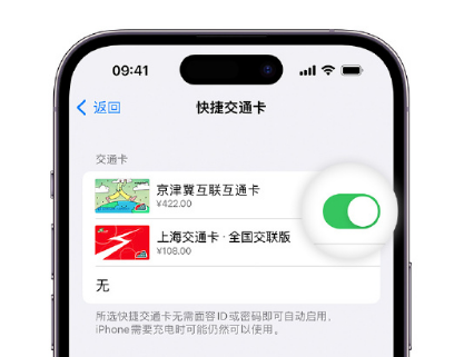 信阳apple维修点分享iPhone上更换Apple Pay快捷交通卡手绘卡面 