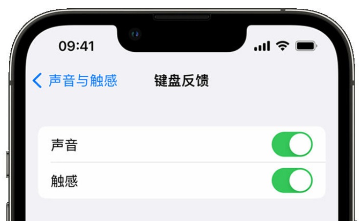 信阳苹果手机维修分享iPhone 14触感键盘使用方法 