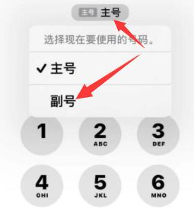 信阳苹果14维修店分享iPhone 14 Pro Max使用副卡打电话的方法 