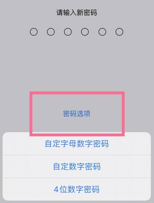 信阳苹果14维修分享iPhone 14plus设置密码的方法 