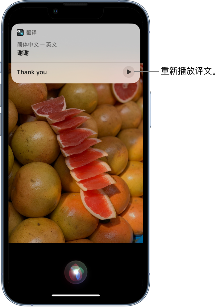 信阳苹果14维修分享 iPhone 14 机型中使用 Siri：了解 Siri 能帮你做什么 