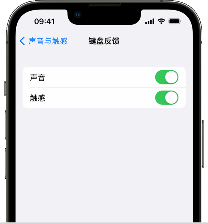 信阳苹果14维修分享iPhone 14 系列机型如何开启键盘声音或触感反馈 