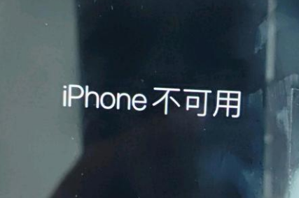 信阳苹果服务网点分享锁屏界面显示“iPhone 不可用”如何解决 