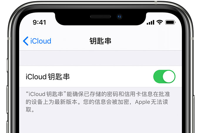 信阳苹果手机维修分享在 iPhone 上开启 iCloud 钥匙串之后会储存哪些信息 