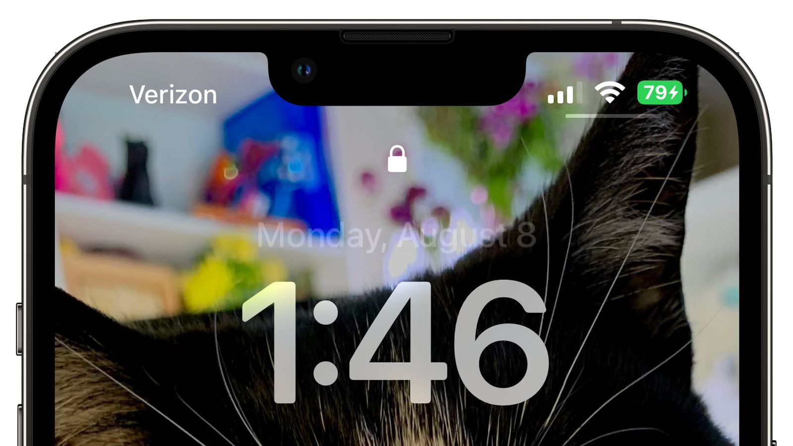 信阳苹果手机维修分享iOS 16 beta 5 支持状态栏显示电池百分比，如何开启？支持哪些机型 