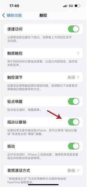 信阳苹果手机维修分享iPhone手机如何设置摇一摇删除文字 