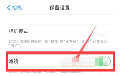 信阳苹果13维修分享iPhone13拍照有绿点是怎么回事 
