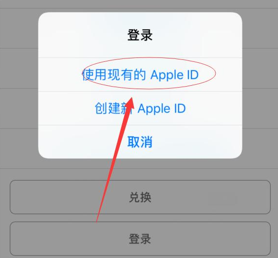 信阳苹果手机维修分享两台iPhone设备可以同时登录一个Apple ID吗 