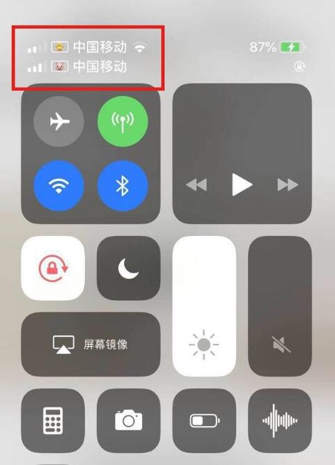 信阳苹果手机维修分享为 iPhone 12 双卡设置标签 