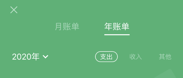 信阳苹果手机维修分享如何在 iPhone 上查看支付宝和微信年支出账单 