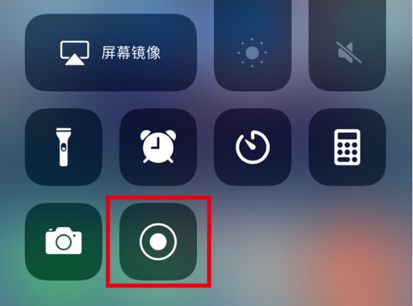 信阳苹果手机维修分享iPhone12录屏方法教程 