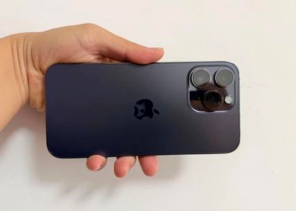 信阳苹果维修点分享iPhone 14 Pro Max黑屏少见故障盘点 